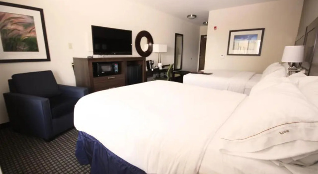 Номер Standard Holiday Inn Express Hotel & Suites Belgrade by IHG