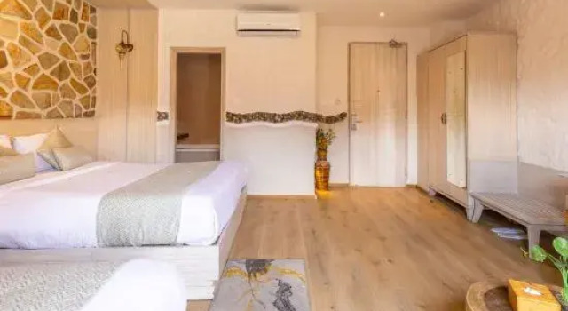 Номер Superior Arushi Boutique Hotel