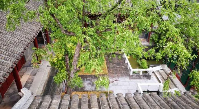 Bejing Heyuanzhixin courtyard（Wang Fujing，Tian'anmen）, Забронировать Отель Отели Пекина 4 звезды, рядом с Торговый комплекс Oriental Plaza, 4*