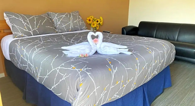 Двухместный номер Standard Bears Claw Lodge
