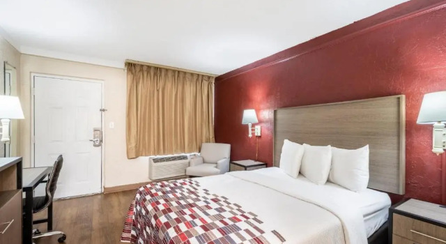 Двухместный номер Standard Red Roof Inn Tampa Bay - St. Petersburg
