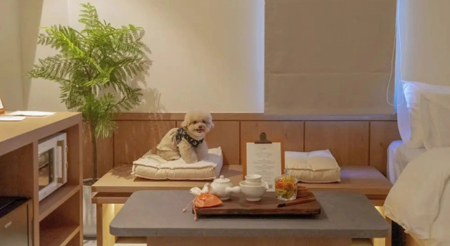 Двухместный номер Deluxe 메종 드 온유 호텔 전주 한옥마을점 Maisonde Onu Hotel Jeonju Hanok village