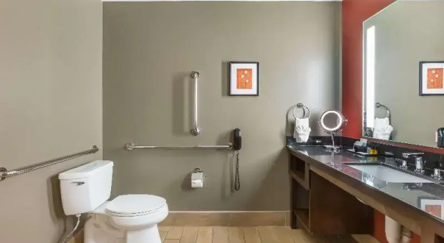 Двухместный номер Standard с балконом Best Western Premier Ivy Inn & Suites