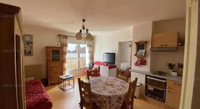 Appartement Les Angles, 2 pièces, 4 personnes - FR-1-295-163