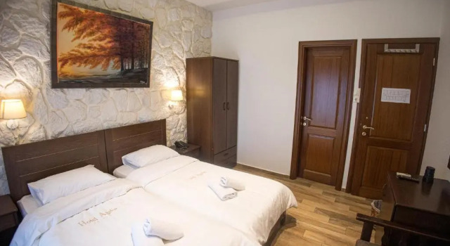 Номер Superior Hotel Agelis