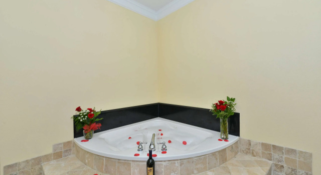 Двухместный люкс Best Western Lone Star Inn