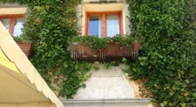 Hotel Casa Socotor