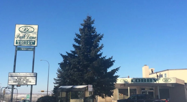 Park Lane Motor Hotel Medicine Hat, Varaa Hotelli Hotellit Southern Alberta pysäköinnillä, Pysäköinti