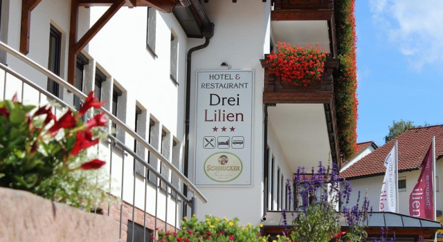 Drei Lilien, Réserver Hôtel Hôtels à Odenwald avec parking, Parking