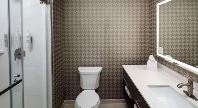 Четырёхместный люкс Home2 Suites By Hilton San Jose South