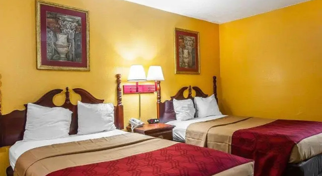 Номер Standard Econo Lodge Dyersburg I-155