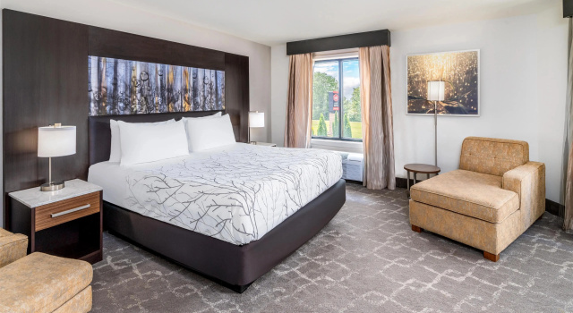 Четырёхместный люкс Aiden by Best Western Warm Springs Hotel and Event Center