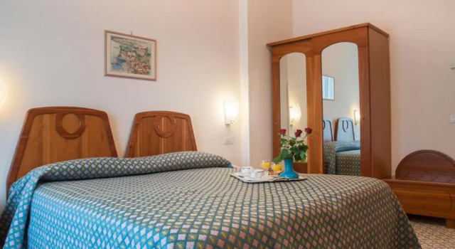 Номер Standard Hotel Eliseo Parks