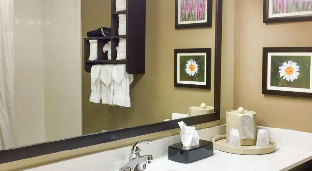 Двухместный люкс Standard Comfort Suites Regency Park