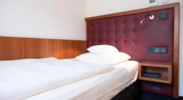 Одноместный номер Classic Hotel & Restaurant Walfisch