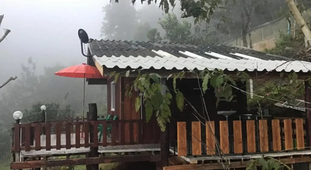 Forest Guesthouse