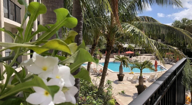 Четырёхместный номер Standard с красивым видом из окна Wyndham Boca Raton Hotel