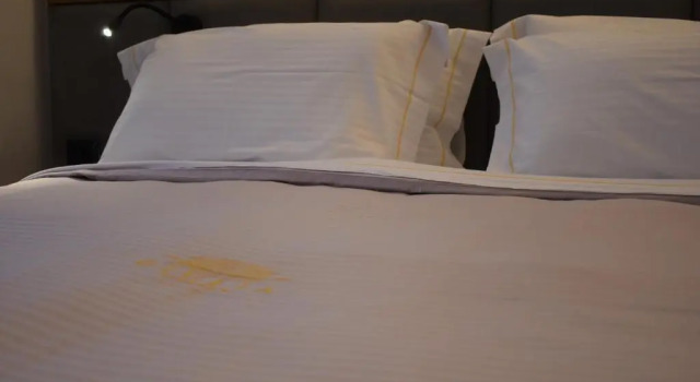 Номер Standard Moenia Boutique Hotel