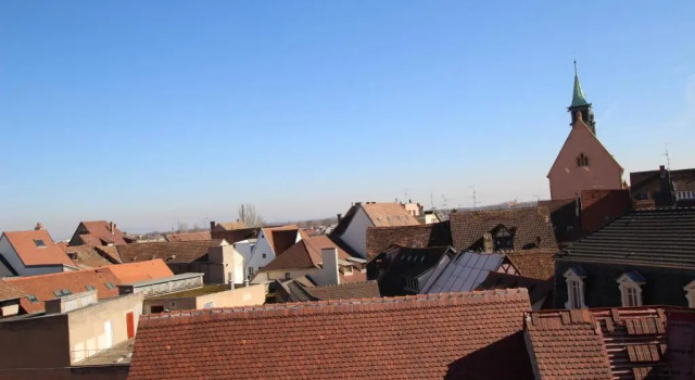 Colmar Historic Center - Cosy Appartement PETIT CATHEDRALE 2 - BookingAlsace, Book Apartment Colmar 