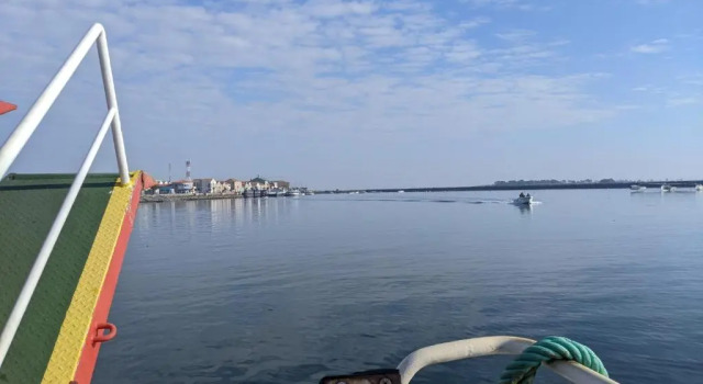 Апартаменты Casa dos Jacintos - São Jacinto, Aveiro