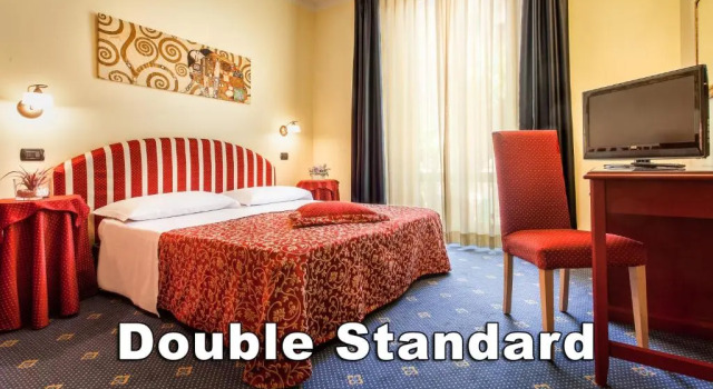 Двухместный номер Standard Hotel Da Vinci