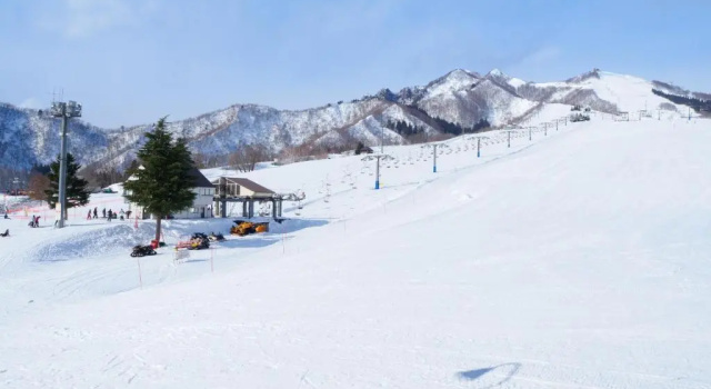 Апартаменты Angel Resort Yuzawa 804