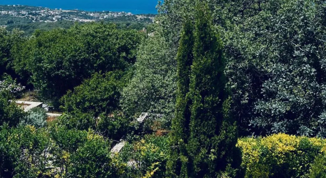 Коттедж с 3 комнатами Villa Olympia - Villa Erato