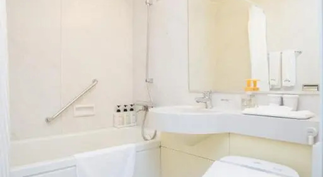 Одноместный номер Kansai Airport Washington Hotel