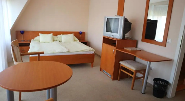 Двухместный номер Comfort Wellness Hotel-M