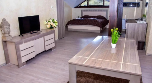 Студия Hotel Izvora 2