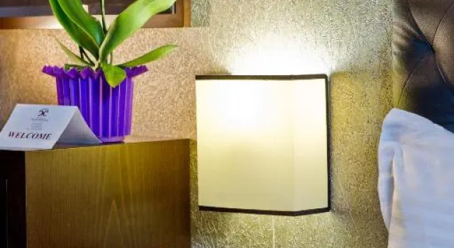 Номер Standard Spa Hotel Spartak