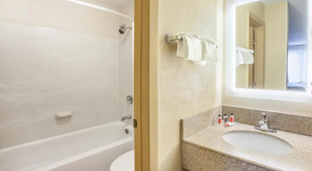 Номер Standard Howard Johnson by Wyndham Romulus Detroit Metro Airport