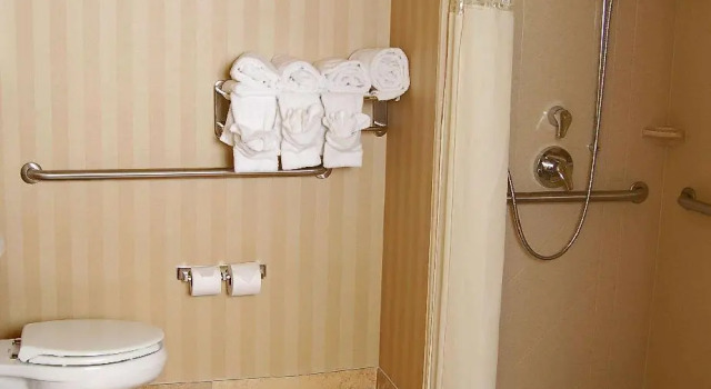 Четырёхместный номер Standard Hampton Inn & Suites Mobile Providence Park/Airport