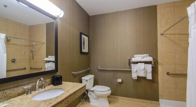 Номер Standard Holiday Inn Arlington NE-Rangers Ballpark by IHG