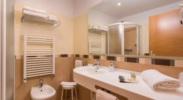 Двухместный номер Standard Hotel Panorama