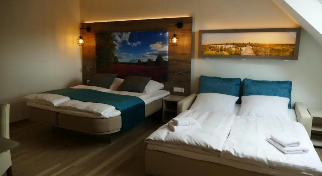 Семейный номер Standard Meyns Apartments & Hotel