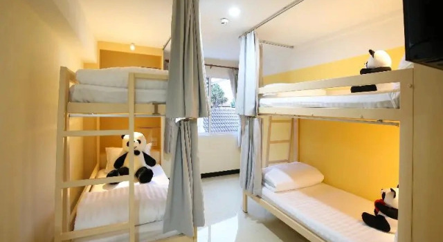 Номер Standard Lucky panda Hotel