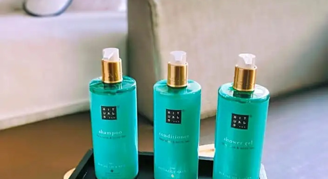 Номер Executive Novotel SPA Rennes Centre Gare