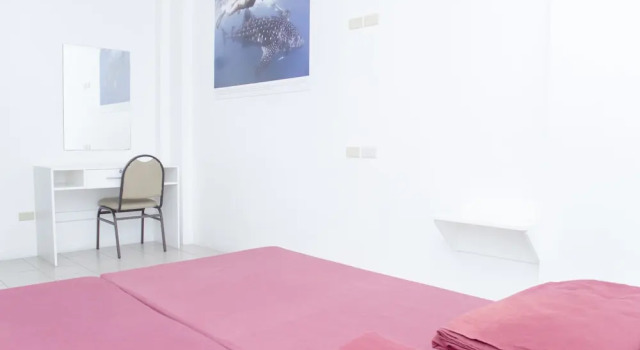 Студия Deluxe TARASA HOSTEL