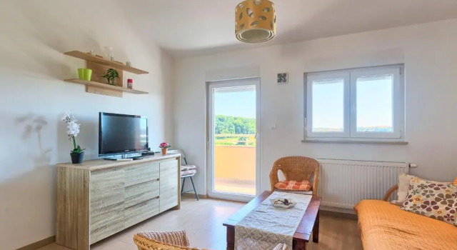Apartman Sara-Naomi