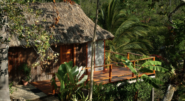 Номер Standard с видом на реку Blancaneaux Lodge by Francis Ford Coppola