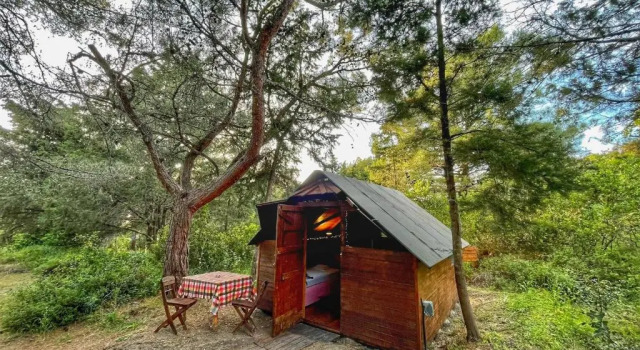 Двухместный номер Standard с видом на сад Drolma Ling Nature Cabins