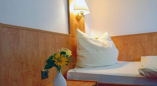 Номер Standard с красивым видом из окна AVALON Hotelpark Königshof