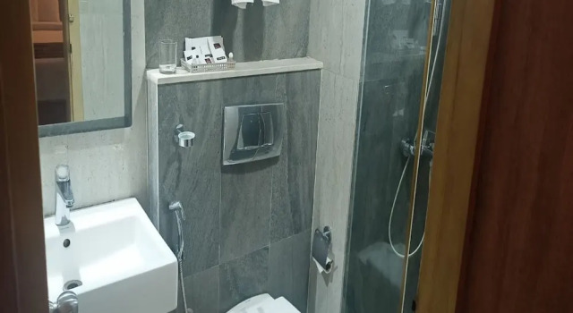 Люкс Hotel Suruli Pallazzio