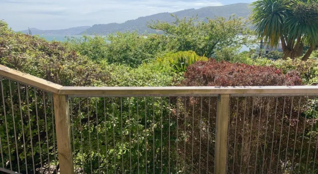 Otago Peninsula Paradise