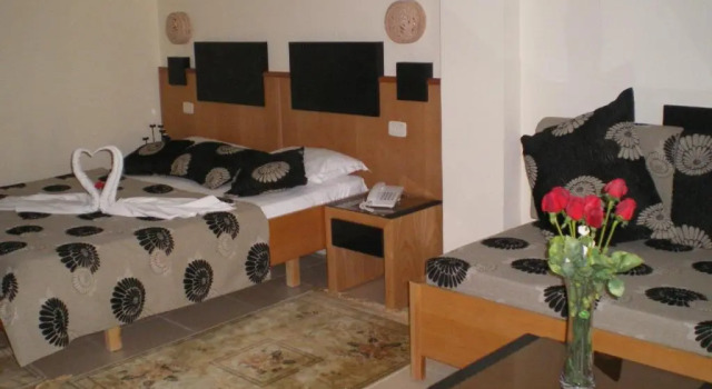 Одноместный номер Standard Hotel Les Palmiers