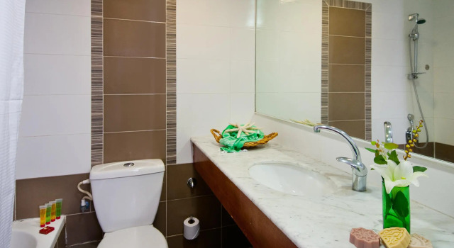 Номер Superior Leonardo Inn Hotel Dead Sea