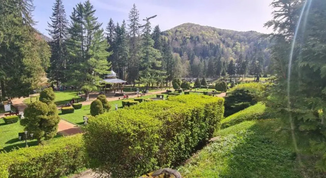 Aky Residence, Rezerwuj Hotel Hotele w Carpathians - Romania z parkingiem, Parking