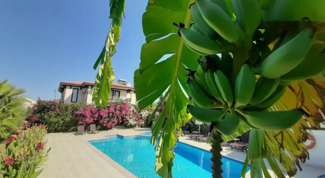 Вилла Beautiful 4-bed Villa Private Pools