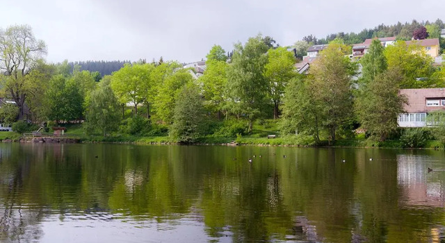 Коттедж Entire House in Schwarzwald with mountain view, private Gym,Sauna and Garden